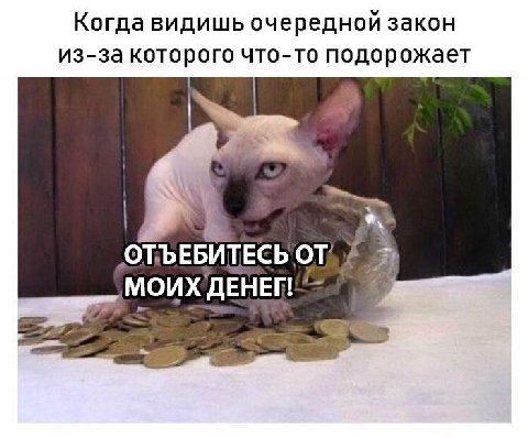 Когда видишь очередной закон из-за которого что-то подорожает МОИХ ДЕНЕК 7