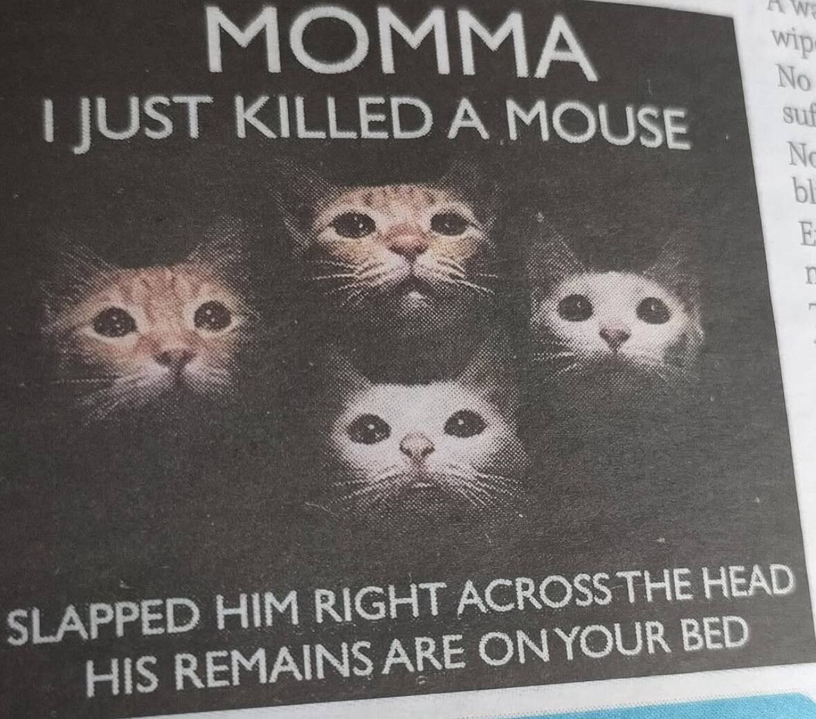 KILLED А MOUSE HIM RIGHT ACROSS THE HEAD REMAINS АВЕ ON YOUR BED