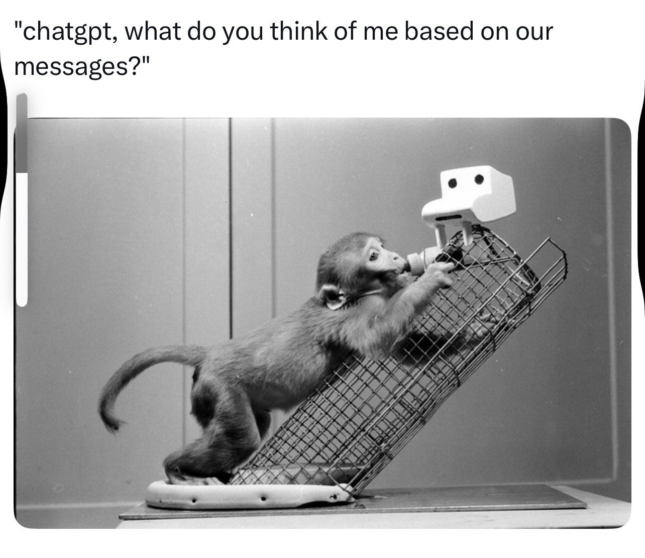 "chatgpt, what you think of me based our messages?"