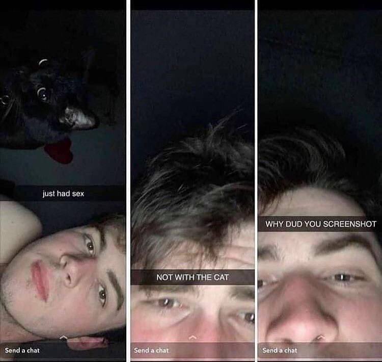 yust had sex WHY DUD YOU SCREENSHOT NOT WITH THE CAT Send а chat Send achat Send achat