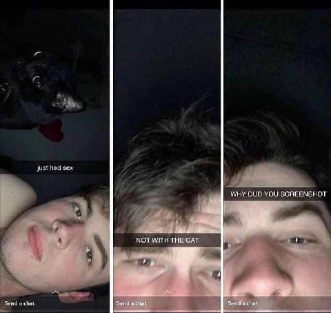 yust had sex WHY DUD YOU SCREENSHOT NOT WITH THE CAT Send а chat Send achat Send achat