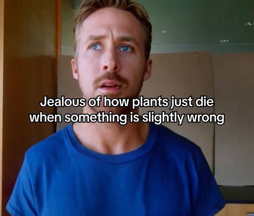 Jealous of how plants just die when something 1$ slightly wrong