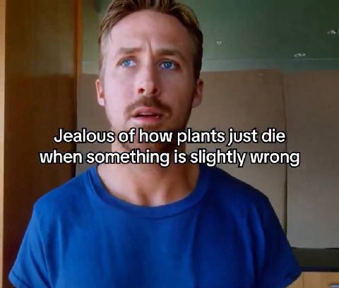Jealous of how plants just die when something 1$ slightly wrong