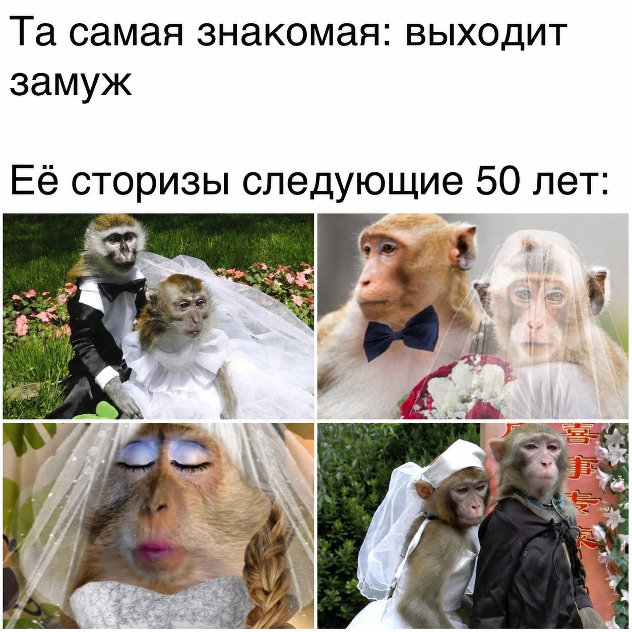 самая знакомая: выходит замуж Её сторизы следующие 50 лет: nie