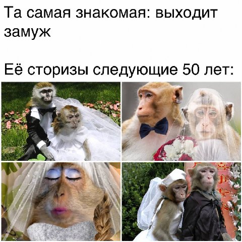 самая знакомая: выходит замуж Её сторизы следующие 50 лет: nie