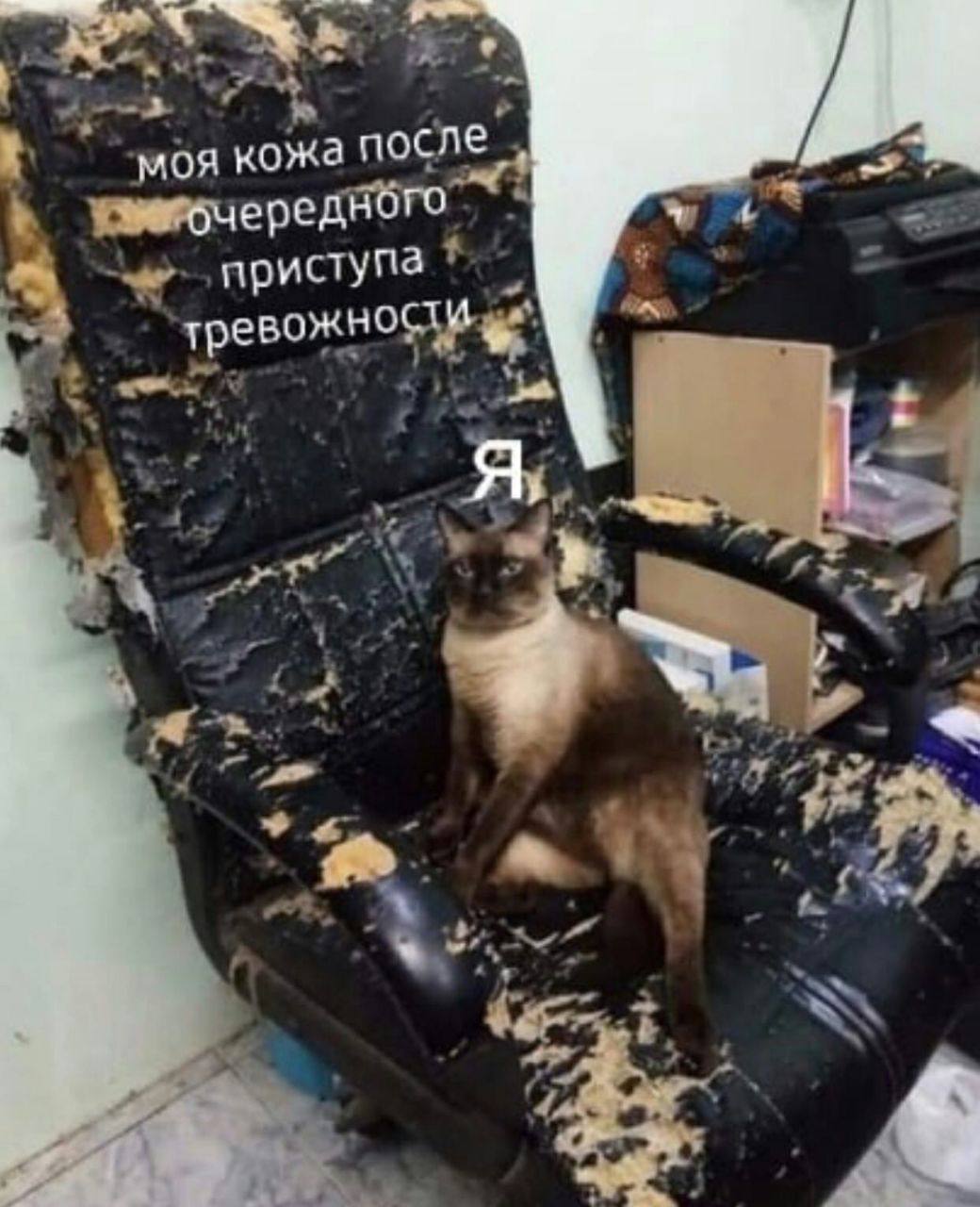 моя кожа после приступа я,