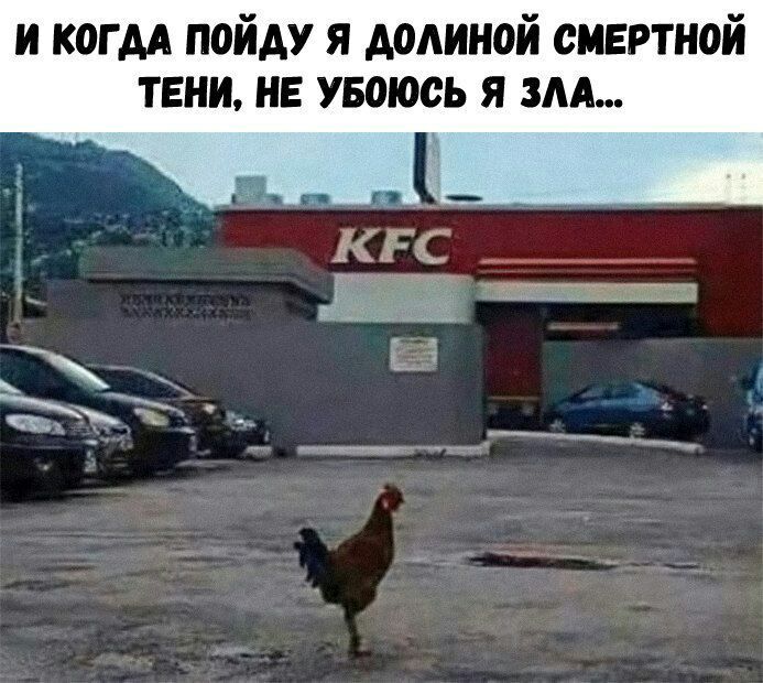 И КОГДА ПОЙДУ Я ДОЛИНОЙ СМЕРТНОЙ ТЕНИ, НЕ УБОЮСЬ Я ЗЛА...