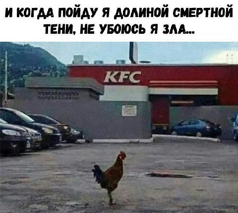 И КОГДА ПОЙДУ Я ДОЛИНОЙ СМЕРТНОЙ ТЕНИ, НЕ УБОЮСЬ Я ЗЛА...