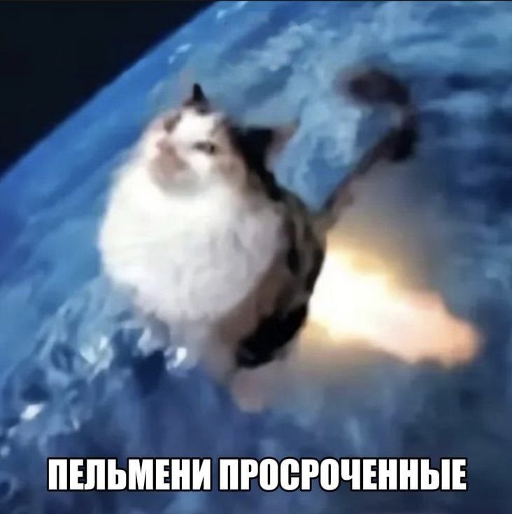 ПЕЛЬМЕНИ ПРОСРОЧЕННЫЕ