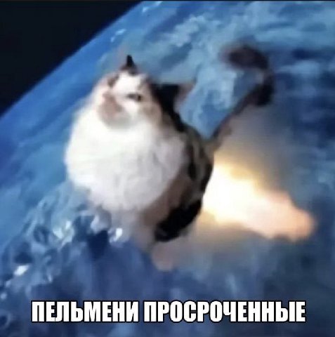 ПЕЛЬМЕНИ ПРОСРОЧЕННЫЕ