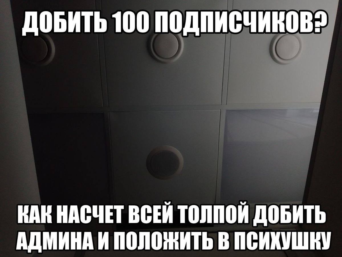 ДОБИТЬ 100 ПОДПИСЧИКОВ? КАК НАСЧЕТ ВСЕЙ ТОЛПОЙ ДОБИТЬ АДМИНА И ПОЛОЖИТЬ В ПСИХУШКУ