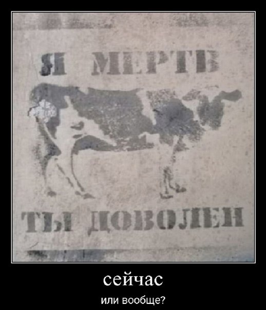 сейчас или вообще?
