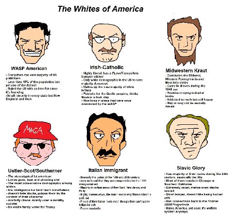 The Whites of America lrish-Catholic WASP American Highly liberal, has а #LoveTrumpsHate Midwestern Kraut Comprises the vast majority of Dominates the Midwest, politicians bumper sticker Only white de