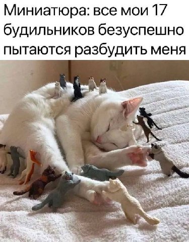 Миниатюра: все 17 будильников безуспешно пытаются разбудить меня