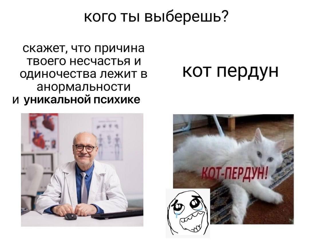 кого ты выберешь? скажет, что причина твоего несчастья и одиночества лежит в кот пердун анормальности и уникальной психике