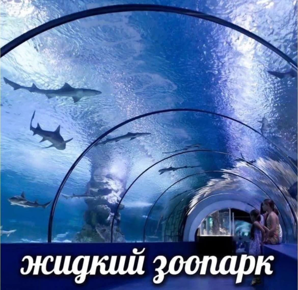 4 жидкий зоопарк