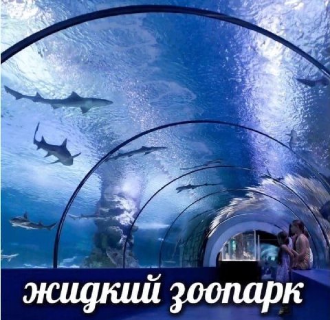4 жидкий зоопарк