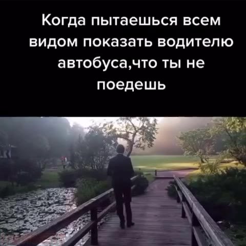 Когда пытаешься всем видом показать водителю автобуса,что ты не
