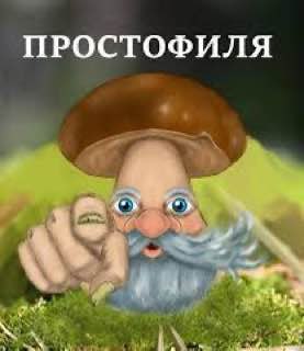 ПРОСТОФИЛЯ