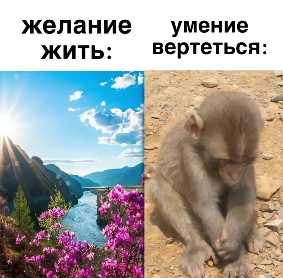 желание умение ЖИТЬ: вертеться: с
