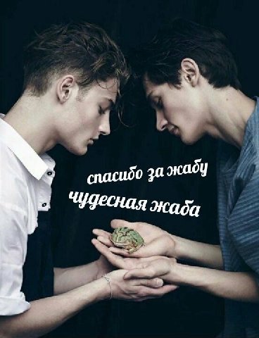 спасибо за жаба