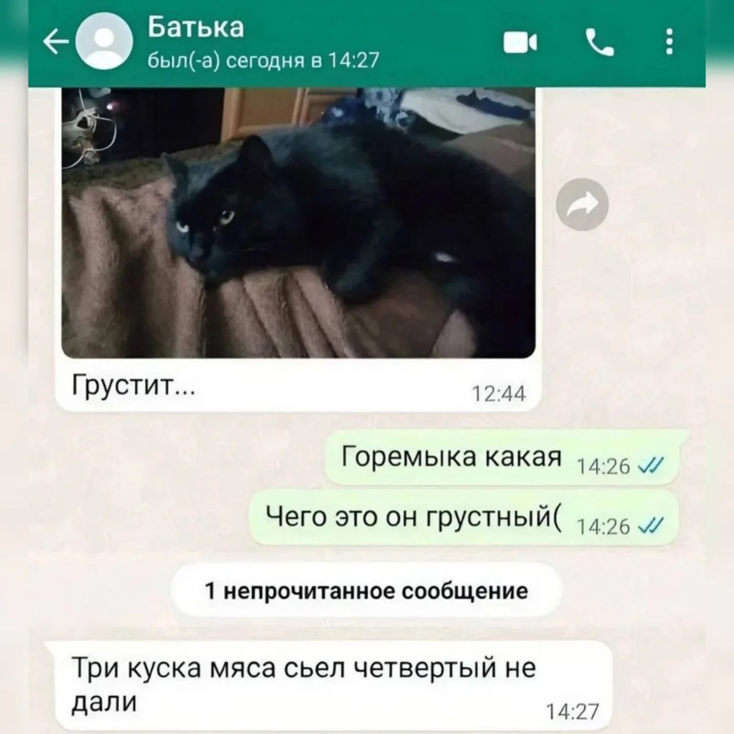 Батька был(-а) сегодня в 14:27 Грустит... 12:44 Горемыка какая Чего это он грустный( 1 непрочитанное сообщение Три куска мяса сьел четвертый не дали 14:27