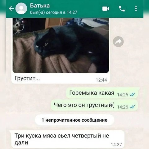 Батька был(-а) сегодня в 14:27 Грустит... 12:44 Горемыка какая Чего это он грустный( 1 непрочитанное сообщение Три куска мяса сьел четвертый не дали 14:27