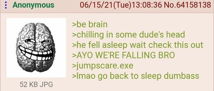 Anonymous 06/15/21(Тие)13:08:36 No.64158138 >be brain >chilling in some dudes head >he fell asleep wait check this out >AYO WE'RE FALLING BRO >jumpscare.exe back to sleep dumbass 52 JPG