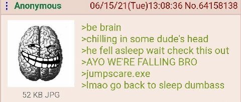 Anonymous 06/15/21(Тие)13:08:36 No.64158138 >be brain >chilling in some dudes head >he fell asleep wait check this out >AYO WE'RE FALLING BRO >jumpscare.exe back to sleep dumbass 52 JPG