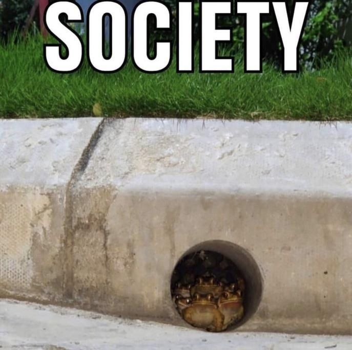 SOCIETY