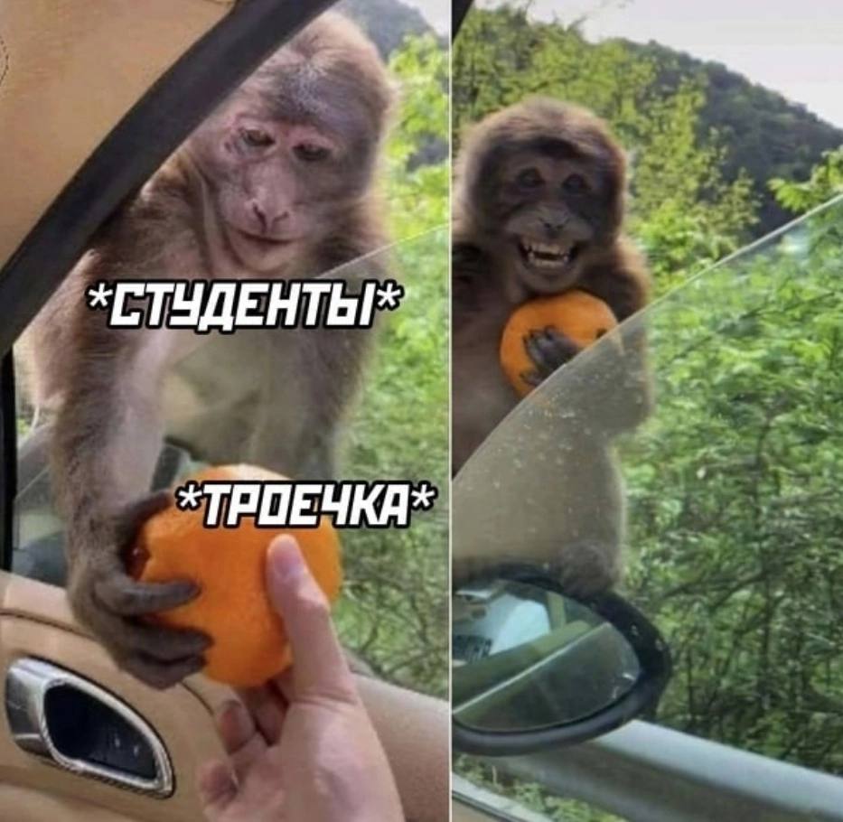 *TPDEYKA*
