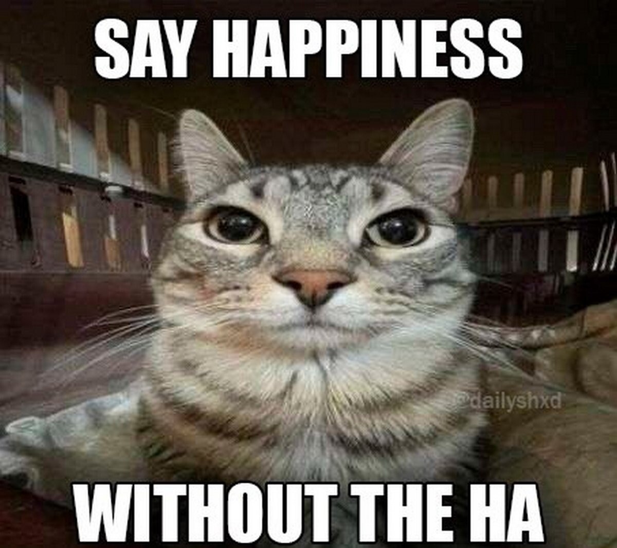 SAY HAPPINESS WITHOUT THE