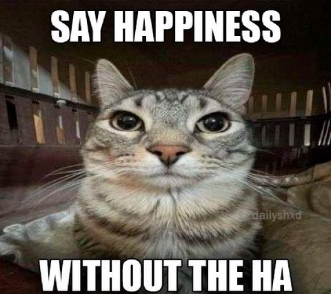 SAY HAPPINESS WITHOUT THE