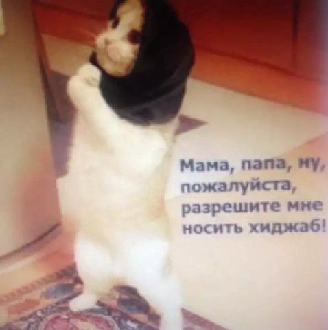 Мама, папа, ну, пожалуйста, разрешите мне носить хиджаб