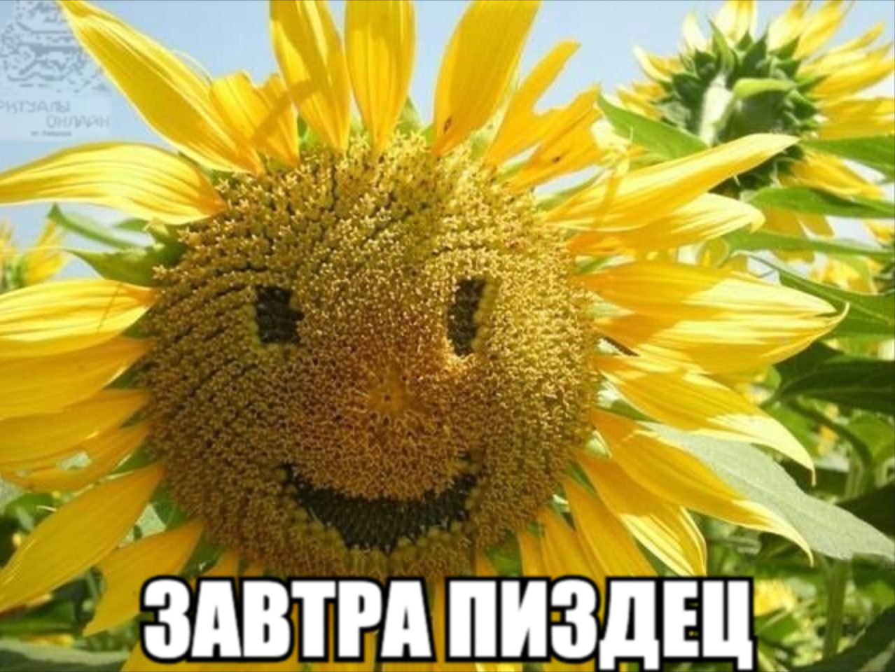 ЗАВТРА