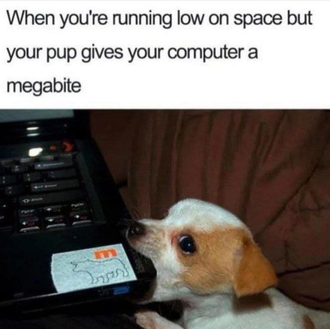 When you're running low space but your pup gives your computer a megabite