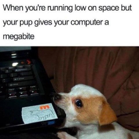 When you're running low space but your pup gives your computer a megabite