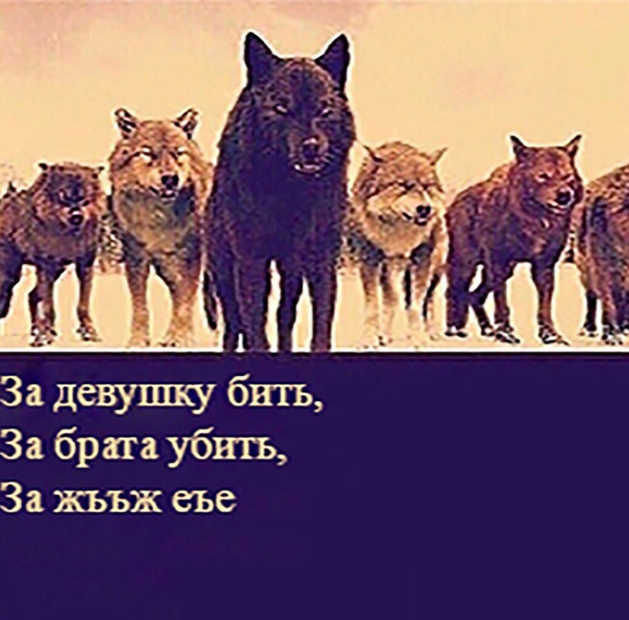 За девушку бить, За брага убить, За жььж еъе