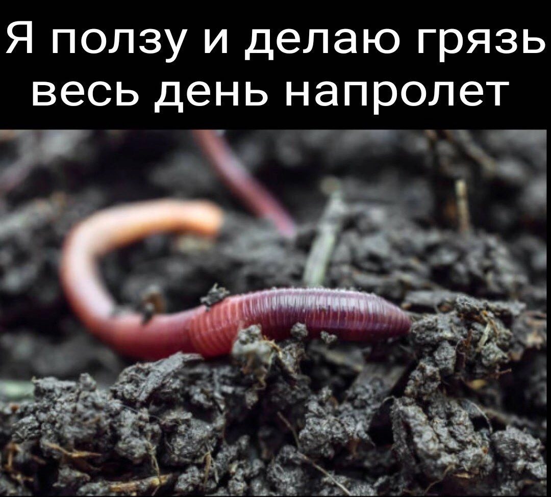 Я ползу и делаю грязь весь день напролет