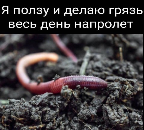 Я ползу и делаю грязь весь день напролет