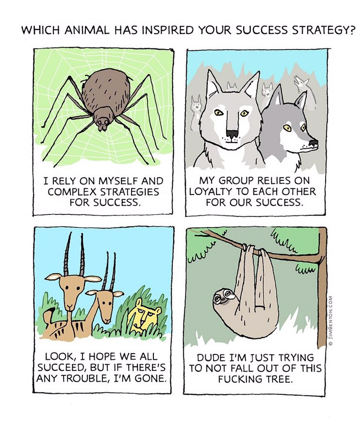 WHICH ANIMAL HAS INSPIRED YOUR SUCCESS STRATEGY? I RELY ON MYSELF AND MY GROUP RELIES ON COMPLEX STRATEGIES LOYALTY TO EACH OTHER FOR SUCCESS. FOR OUR SUCCESS. У my LOOK, I HOPE WE ALL DUDE JUST TRYIN