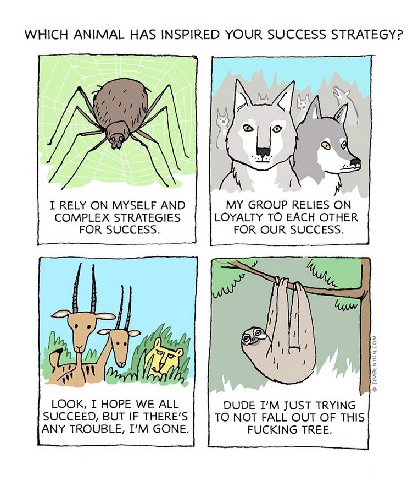 WHICH ANIMAL HAS INSPIRED YOUR SUCCESS STRATEGY? I RELY ON MYSELF AND MY GROUP RELIES ON COMPLEX STRATEGIES LOYALTY TO EACH OTHER FOR SUCCESS. FOR OUR SUCCESS. У my LOOK, I HOPE WE ALL DUDE JUST TRYIN