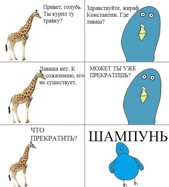 Привет, голубь. Здравствуйте, жираф Ты курил Константин. Где травку? лаваш? “a Я 4 аваша нет. К МОЖЕТ ТЫ УЖЕ сожалению, ero) ПРЕКРАТИШЬ? (2 не существует. что ПРЕКРАТИТЬ? ШАМПУНЬ