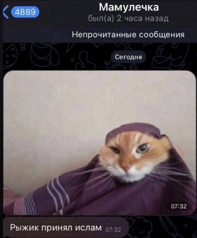 Мамулечка был(а) 2 часа назад Непрочитанные сообщения Сегодня 07:32 Рыжик принял ислам