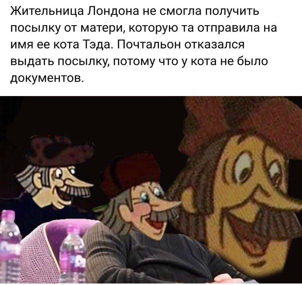 Жительница Лондона не смогла получить посылку от матери, которую отправила на имя ее кота Тэда. Почтальон отказался выдать посылку, потому что у кота не было документов.