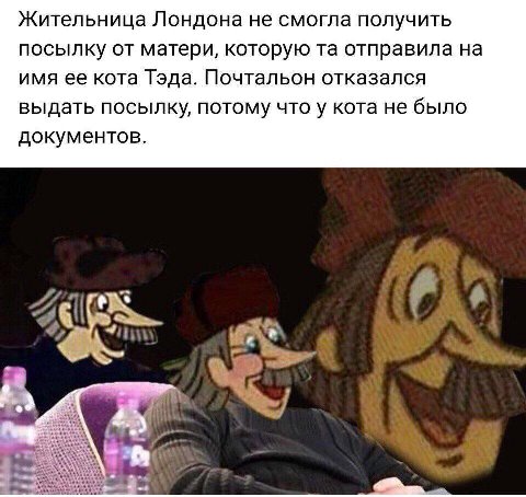 Жительница Лондона не смогла получить посылку от матери, которую отправила на имя ее кота Тэда. Почтальон отказался выдать посылку, потому что у кота не было документов.
