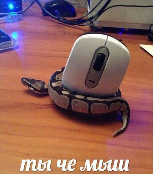 mot че