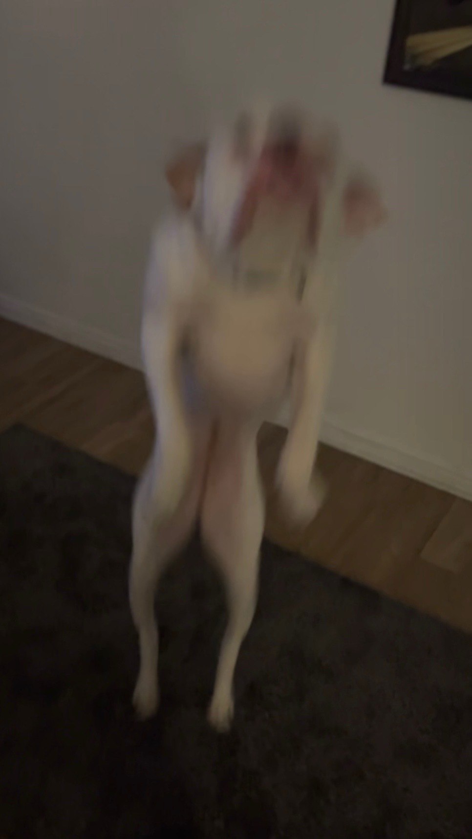 le