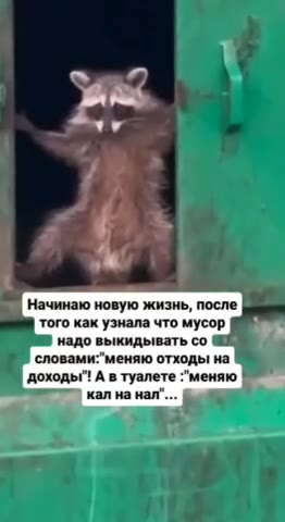 того как узнала что мусор надо выкидывать со ‘словами:”меняю отходы на `доходы"! А в туалете "меняю. Начинаю новую жизнь, после