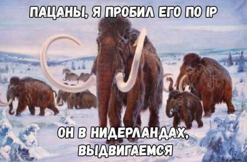 we ДАХ ВЫДВИГАЕМСЯ